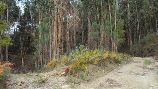 Land for sale in Marco de Canaveses, Portugal — €21,000