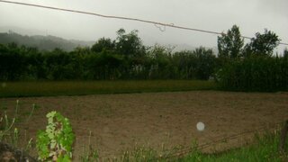 Terreno em Cinfães