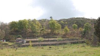 Land for sale in Marco de Canaveses, Portugal — €13,500