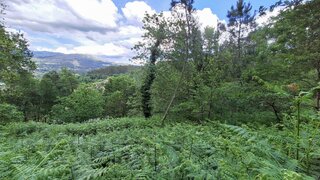 Terreno em Ponte da Barca