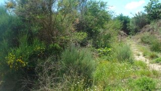 Land for sale in Baião, Portugal — €17,500