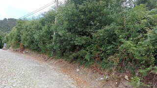 Land for sale in Caminha, Portugal — €140,000