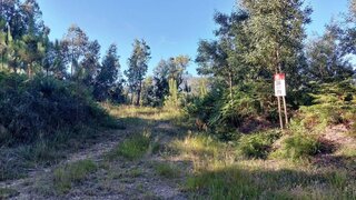 Land for sale in Viana do Castelo, Portugal — €14,500