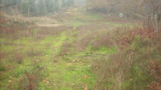Land for sale in Marco de Canaveses, Portugal — €55,000
