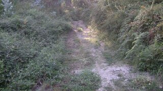 Land for sale in Marco de Canaveses, Portugal — €37,000