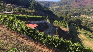Land for sale in Marco de Canaveses, Portugal — €75,000