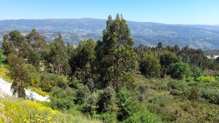 Land for sale in Marco de Canaveses, Portugal — €90,000