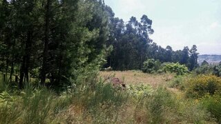 Land for sale in Marco de Canaveses, Portugal — €85,000