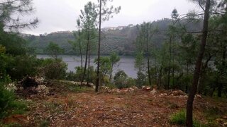 Land for sale in Penafiel, Portugal — €400,000