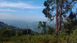 Land for sale in Cinfães, Portugal — €25,000