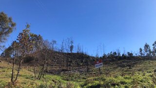 Land for sale in Baião, Portugal — €47,500
