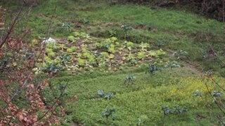 Land for sale in Baião, Portugal — €32,500