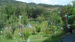 Land for sale in Marco de Canaveses, Portugal — €65,000