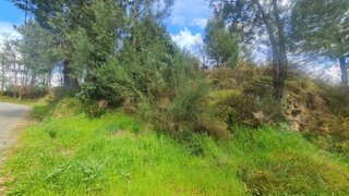 Land for sale in Baião, Portugal — €65,000