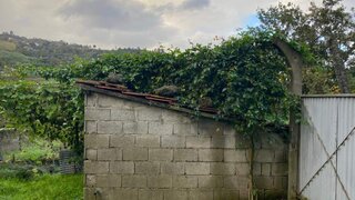 Land for sale in Marco de Canaveses, Portugal — €37,500