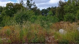 Land for sale in Caminha, Portugal — €68,000