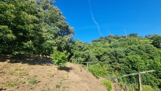 Land for sale in Baião, Portugal — €120,000