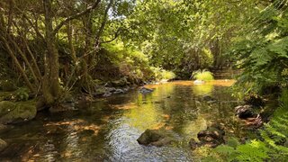 Land for sale in Baião, Portugal — €47,000