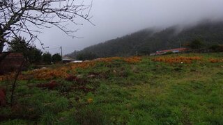 Land for sale in Viana do Castelo, Portugal — €400,000