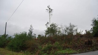 Land for sale in Caminha, Portugal — €69,000