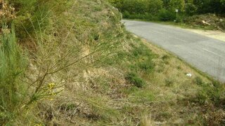 Land for sale in Marco de Canaveses, Portugal — €51,000