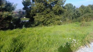 Land for sale in Marco de Canaveses, Portugal — €305,000