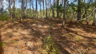 Terreno para venda em Amarante, Portugal — 75 000 €