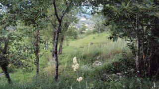 Land for sale in Marco de Canaveses, Portugal — €30,000