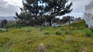 Land for sale in Amarante, Portugal — €50,000