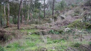 Land for sale in Caminha, Portugal — €40,000