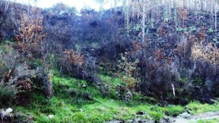 Land for sale in Cinfães, Portugal — €42,000