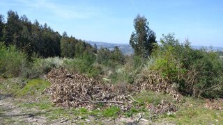 Land for sale in Marco de Canaveses, Portugal — €47,500