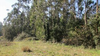 Land for sale in Vila do Conde, Portugal — €120,000
