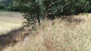 Land for sale in Caminha, Portugal — €100,000