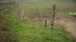 Land for sale in Marco de Canaveses, Portugal — €102,500