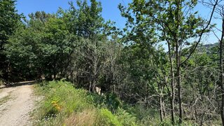 Land for sale in Baião, Portugal — €27,000