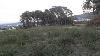 Terreno de 12 200 m² em Viana do Castelo