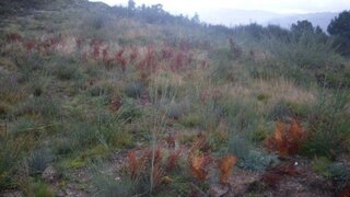 Land for sale in Baião, Portugal — €25,000