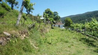 Land for sale in Cinfães, Portugal — €65,000