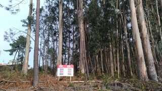 Land for sale in Caminha, Portugal — €60,000