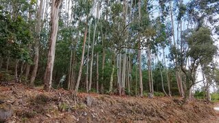 Land for sale in Vila Nova de Cerveira, Portugal — €38,000