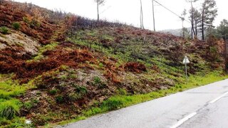 Land for sale in Baião, Portugal — €23,000