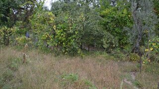 Land for sale in Marco de Canaveses, Portugal — €32,500
