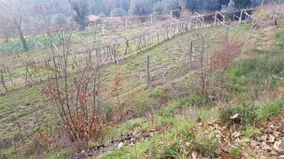 Land for sale in Ponte de Lima, Portugal — €58,000