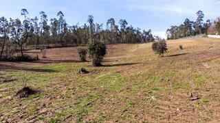 Land for sale in Ponte de Lima, Portugal — €266,000