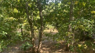 Land for sale in Amarante, Portugal — €18,500