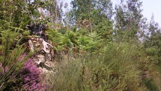 Land for sale in Vila do Conde, Portugal — €58,000