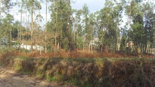 Land for sale in Viana do Castelo, Portugal — €36,150