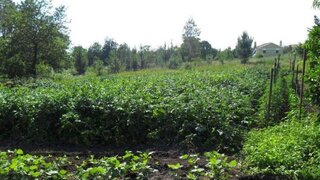 Land for sale in Viana do Castelo, Portugal — €85,000