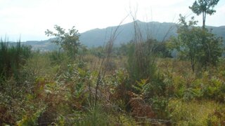 Land for sale in Baião, Portugal — €40,000